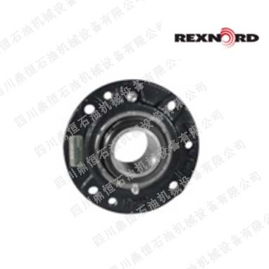 Rexnord˨(do)LSвZBR2207
